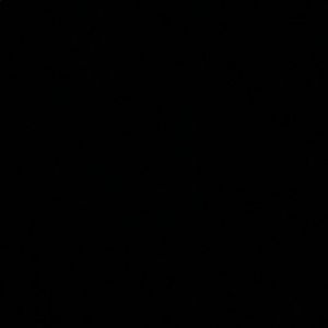 Meet your Posher, Ally